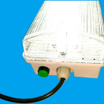 登峰灯具LED应急防雾灯防水LED应急壁灯环保节能灯