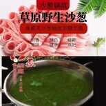 青海餐饮加盟新经济新思维蒙古沙葱文化火锅图片2