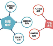 战略咨询能为企业解决什么问题