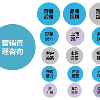 2019市场开发商业计划书