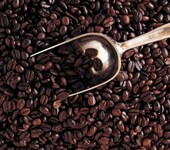 异域风情的咖啡豆进口报关你需要行业中的专家