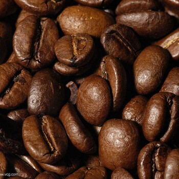 青岛一家能做印度尼西亚咖啡进口报关的公司