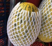 厂家大量水果泡沫网套山药保护网套各规格可定做图片4