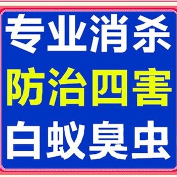 深圳南山地毯清洗公司