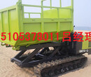 GNYS-3型3吨履带运输车图片