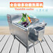 全自动单槽洗菜机不锈钢果蔬洗菜机清洗蔬菜机械设备TJ-70