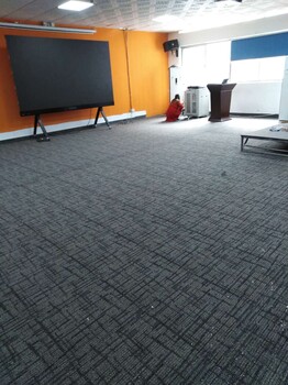 办公室条纹浅色地毯