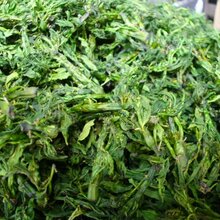 辣木叶烘干设备带式烘干干燥设备图片