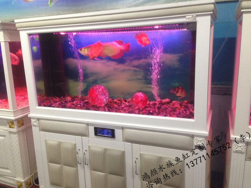 鸿颜水族承接各项水族维护,鱼缸清洗鱼缸翻新安装维修