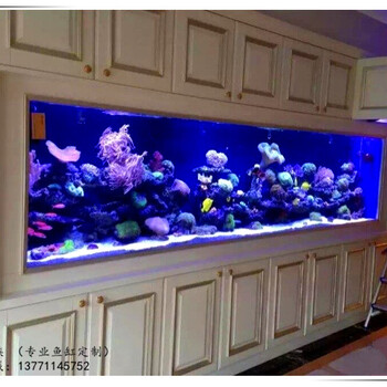 荊門哪里定做大型魚缸