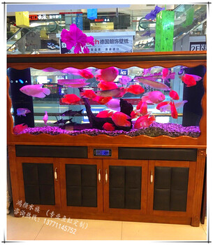 無(wú)錫觀賞魚發(fā)財(cái)魚大中小小型熱帶魚出售快來(lái)?yè)屬?gòu)
