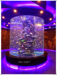 南京大型亚克力鱼缸圆柱型鱼缸表演鱼缸图片3