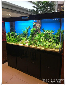 泰州辦公室水族箱定制魚缸廠家