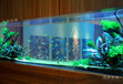 溧阳鱼缸定做办公室水族箱大型生态水族箱上海玻璃鱼缸