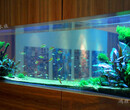 溧陽魚缸定做辦公室水族箱大型生態水族箱上海玻璃魚缸圖片