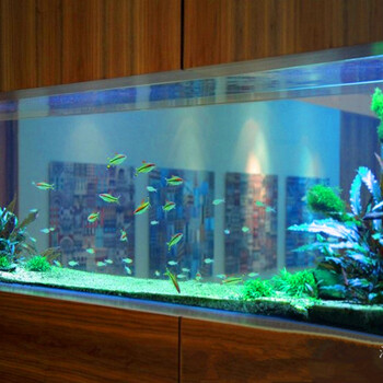 溧阳鱼缸定做办公室水族箱大型生态水族箱上海玻璃鱼缸