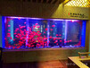泰州酒店镶嵌式生态鱼缸定制会所嵌入式鱼缸定制大型亚克力