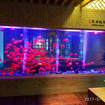 宁波鱼缸定做大型水族工程