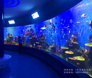 徐州鱼缸水族景观设计