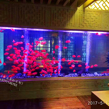 常熟鱼缸定做大型会所镶嵌式鱼缸工程大型水族工程制作海洋主题乐园别墅