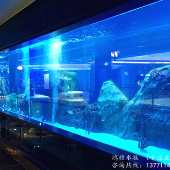 浙江杭州大型鱼缸定做大型水族鱼缸亚克力水族鱼缸水族馆鱼缸