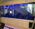 镇江酒店观赏鱼缸制作大型嵌墙式鱼缸大型水族工程