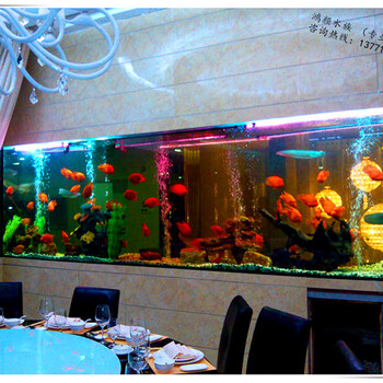 上海大型鱼缸制作厂家