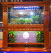 杭州鱼缸定制嵌入式鱼缸创意水族箱厂家直销