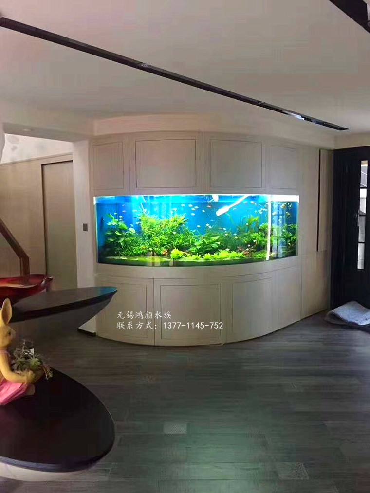 观赏鱼出售长期养护清洗鱼缸换水鱼缸造景