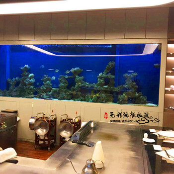 嘉興魚缸定做生態(tài)魚缸設(shè)計