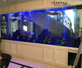 苏州鱼缸厂家大型鱼缸设计