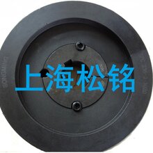主动皮带轮SPC308-4X3535行业领先图片