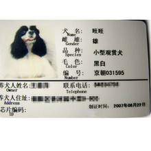 Altess证卡打印机动物狂犬病免疫证