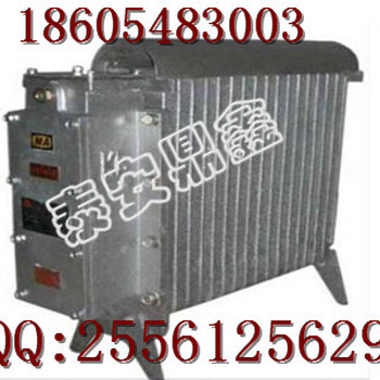 2KW矿用取暖器，辽宁电热取暖器