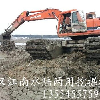 佛山市高明区三水区水陆挖机出租沼泽地挖掘机租赁