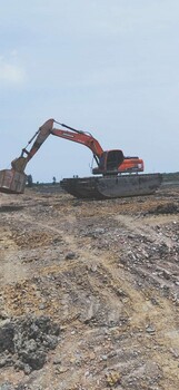 荊州市周邊210型水陸挖機(jī)出租淤泥治理