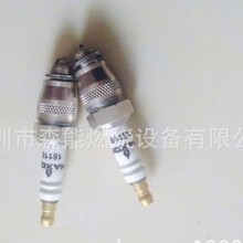 MAXON麦克森燃烧器34043点火棒34042火花塞点火电极