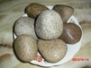 房山鹅卵石，鹅卵石优质品牌，房山鹅卵石最新供应信息