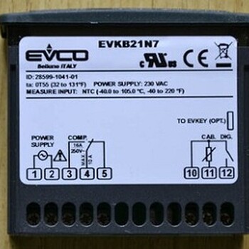 销售意大利EVCO传感器