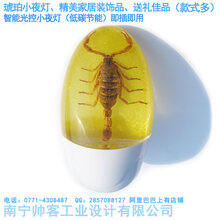 琥珀小夜灯LED智能光控节能昆虫标本包埋人工琥珀树脂家居装饰品图片