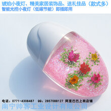 创意家居装饰品礼品琥珀小夜灯包埋花草标本LED智能光控灯壁灯图片