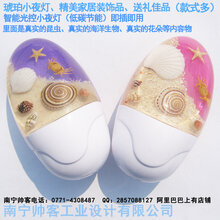 创意家居装饰品琥珀小夜灯包埋海洋标本琥珀树脂LED智能光控灯图片