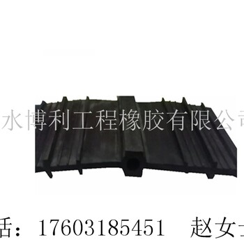 四川都江堰水利工程原理橡膠止水帶中埋式止水帶供應(yīng)商