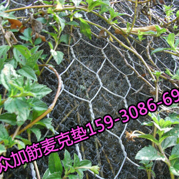 500g加筋麥克墊植草保護(hù)河道，加筋麥克墊價(jià)格
