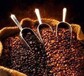 法国咖啡豆清关到上海香港到上海快递公司咖啡豆进口代理