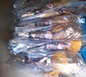 西班牙火腿进口代理清关香港进口西班牙火腿到国内物流公司图片
