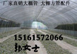 贵州黔西南安龙县温室大棚钢架GP522农用连栋温室大棚骨架