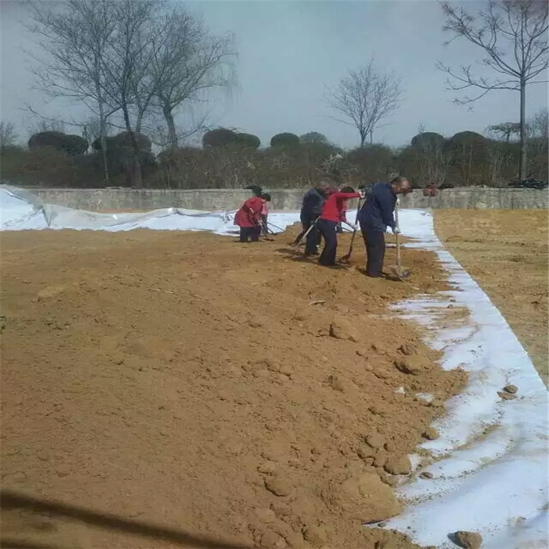 辽宁河道防渗膜报价