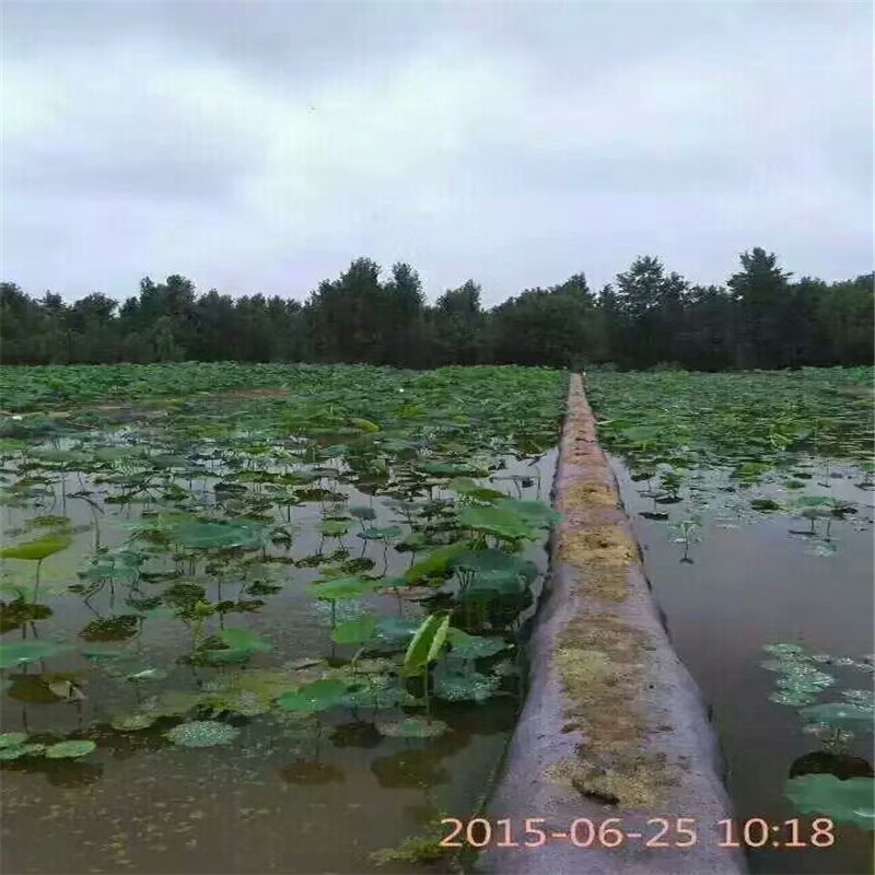 0.5厚油田防渗膜北京报价