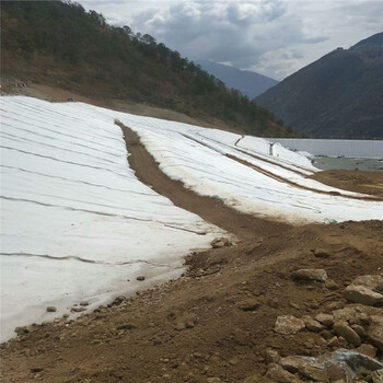 山西绿色土工布报价